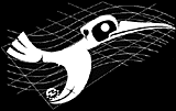 ebirds software kabbalah